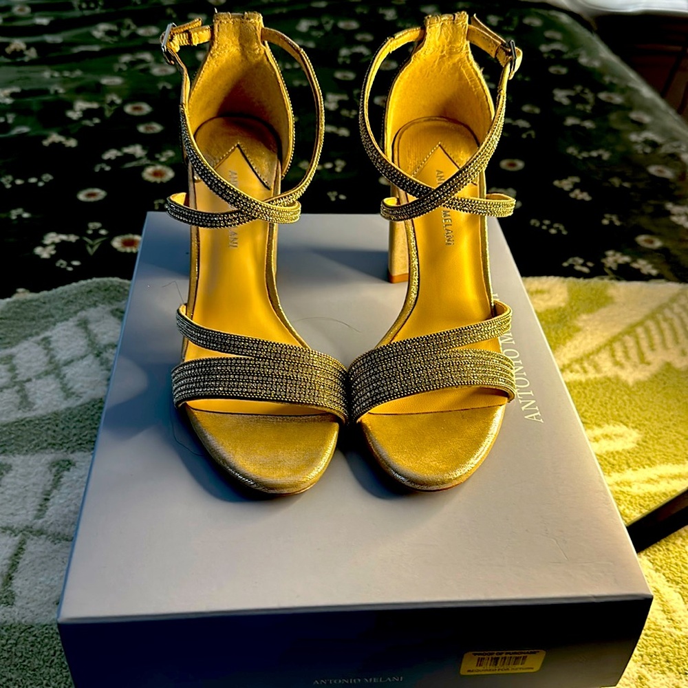 Antonio Melani  Garlini heels size 6M. Never worn $49.99